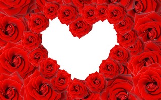 Valentines_Day 79.jpg